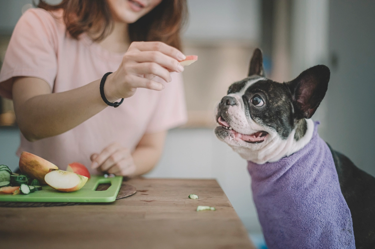 fruits and vegetables for dogs